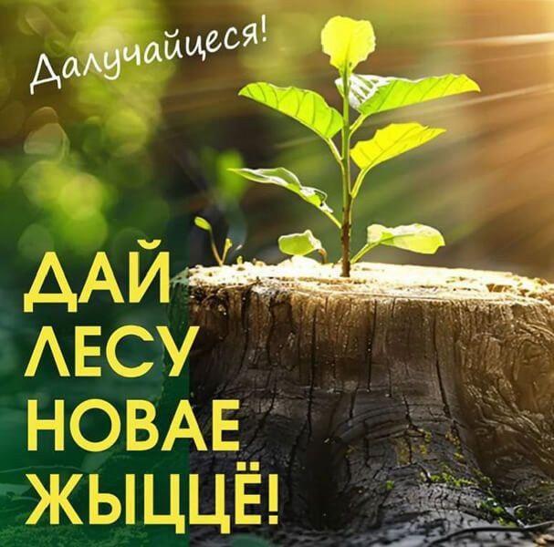 Коллектив БелГИМ принимает участие в республиканской добровольной акции 